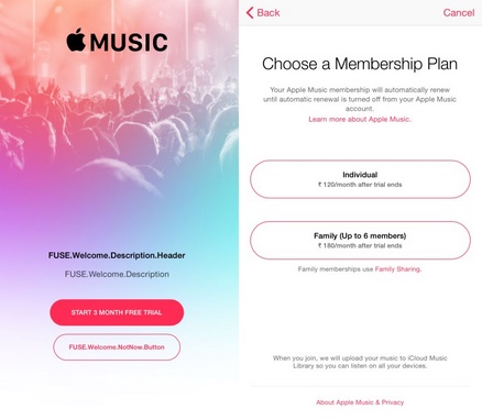 How to keep apple music songs playable after canceling subscription online